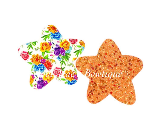 Rainbow Roses Star Shaped Snap Clip Set